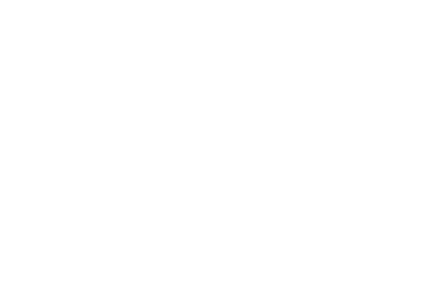 CDS-sito-white