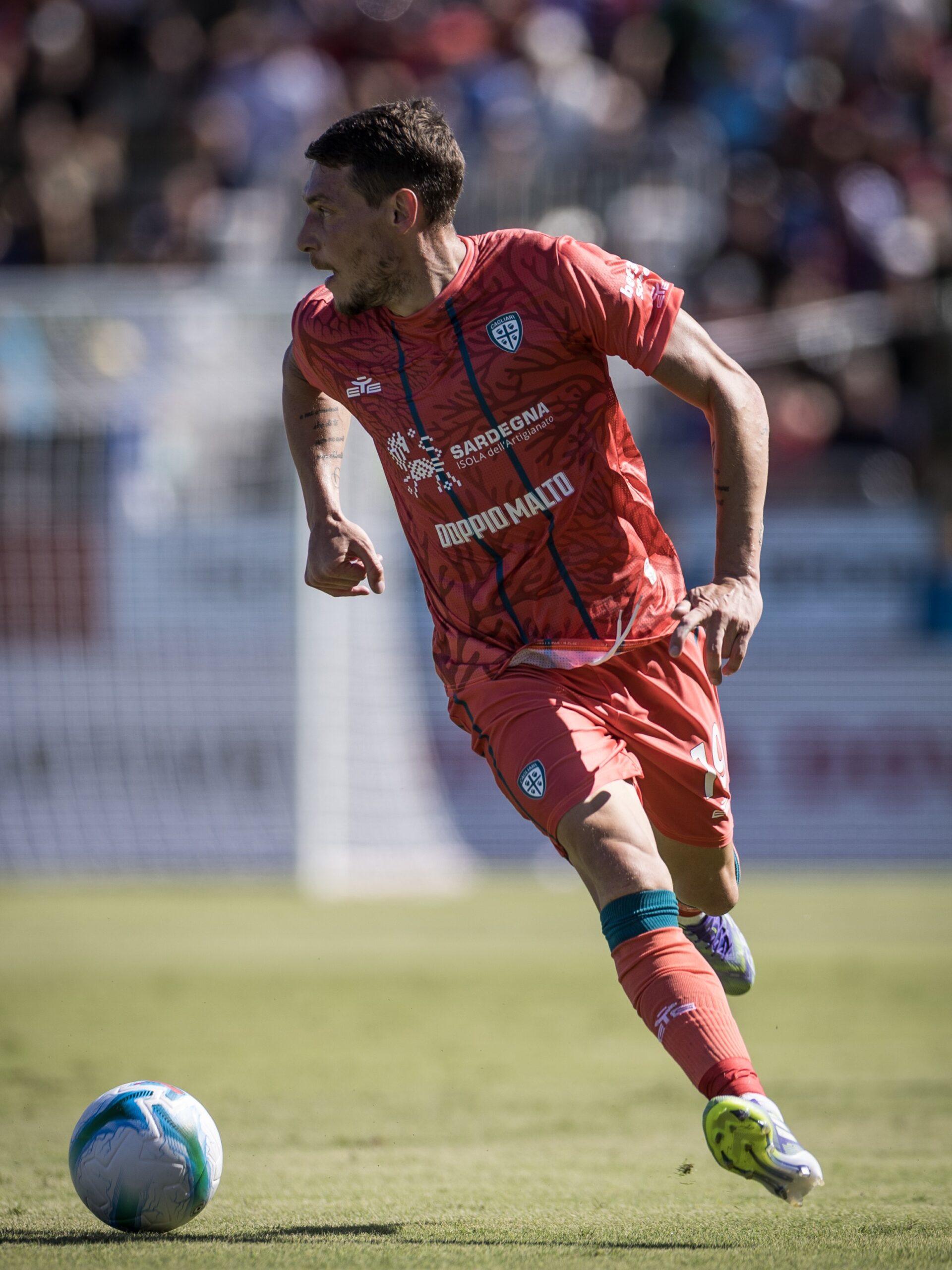 VS__0029-belotti_34-scaled