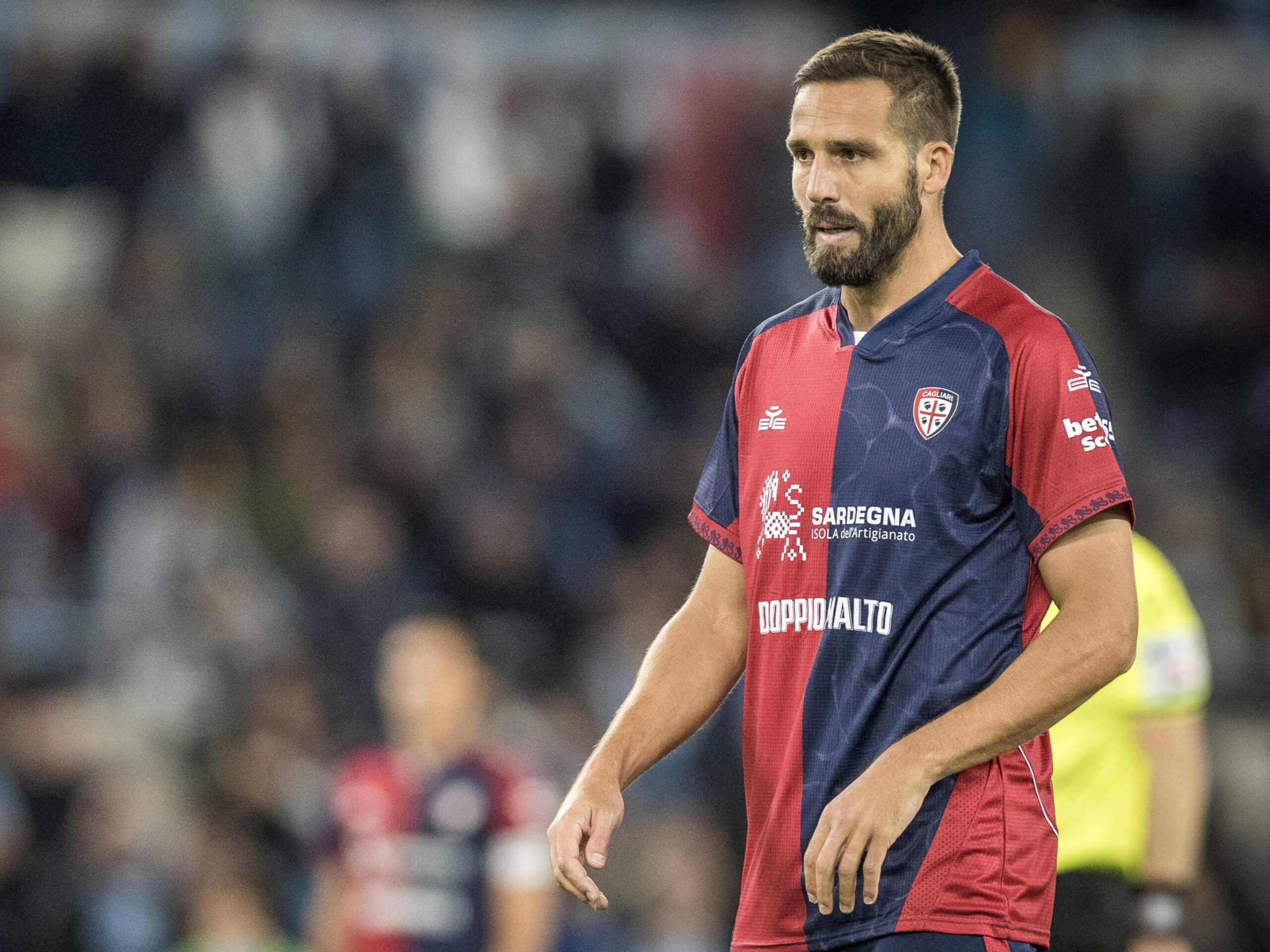 VS__7390-pavo-scaled