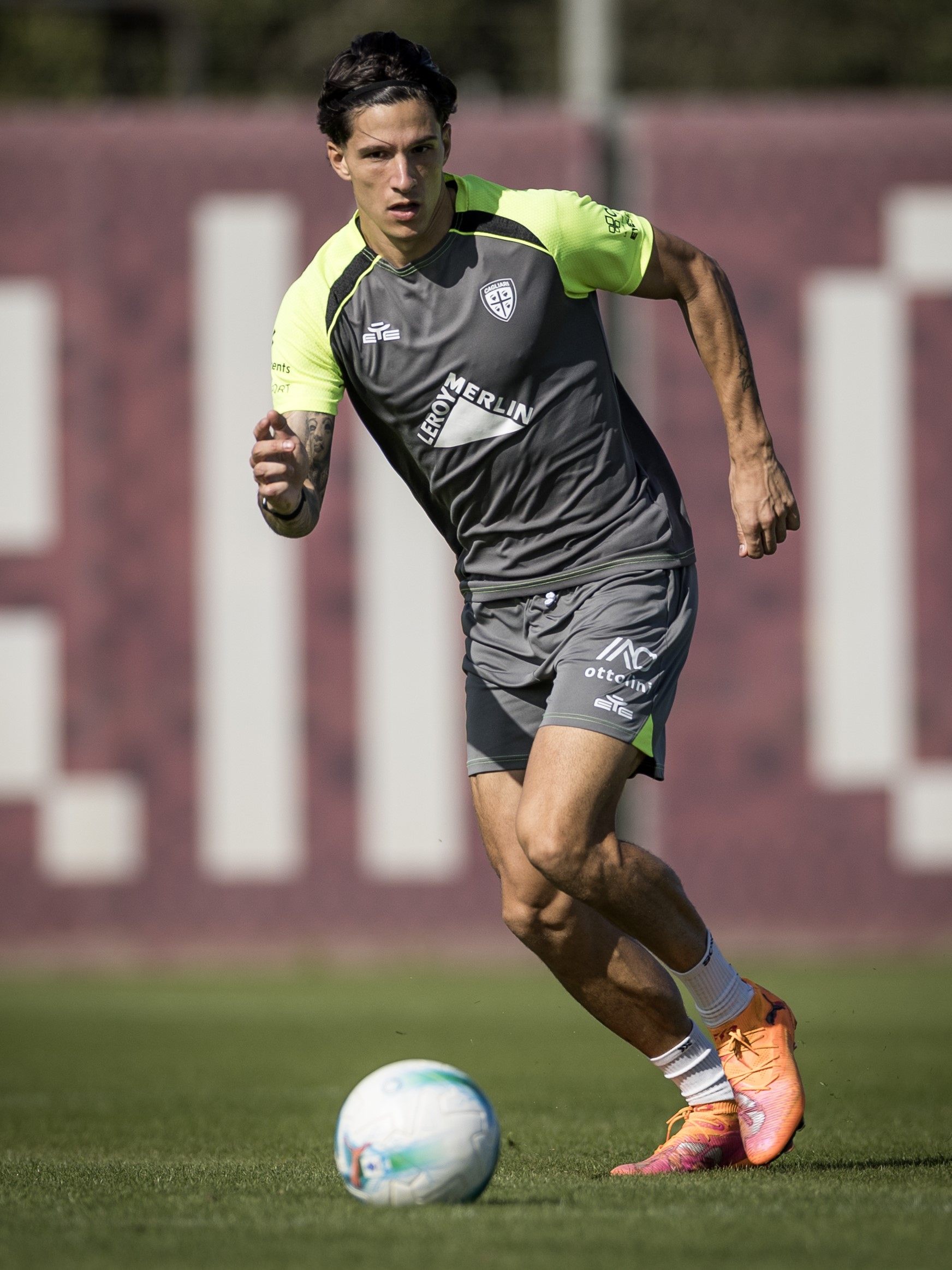 VS__9625-di-pardo_34