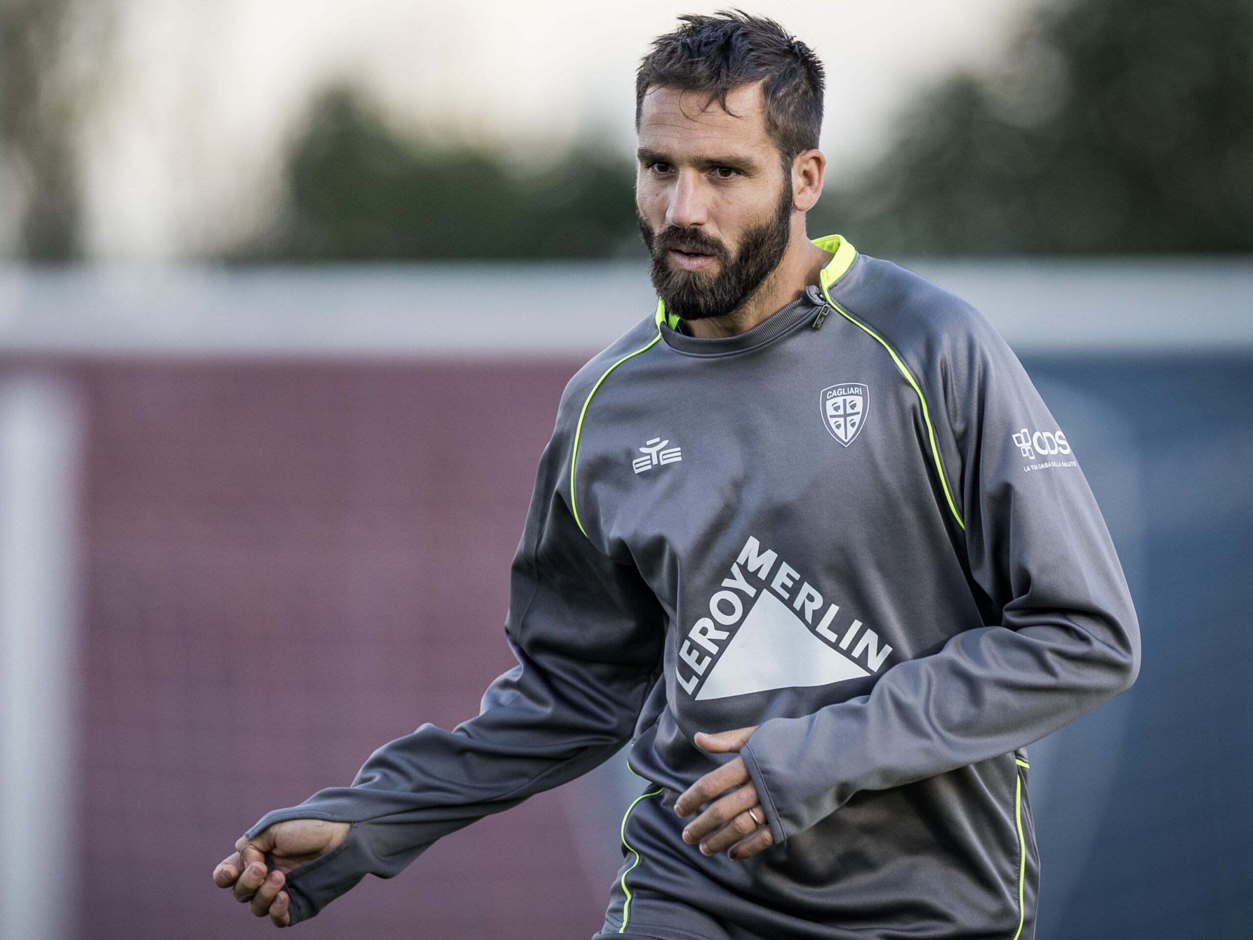 VS__2046-pavo-scaled