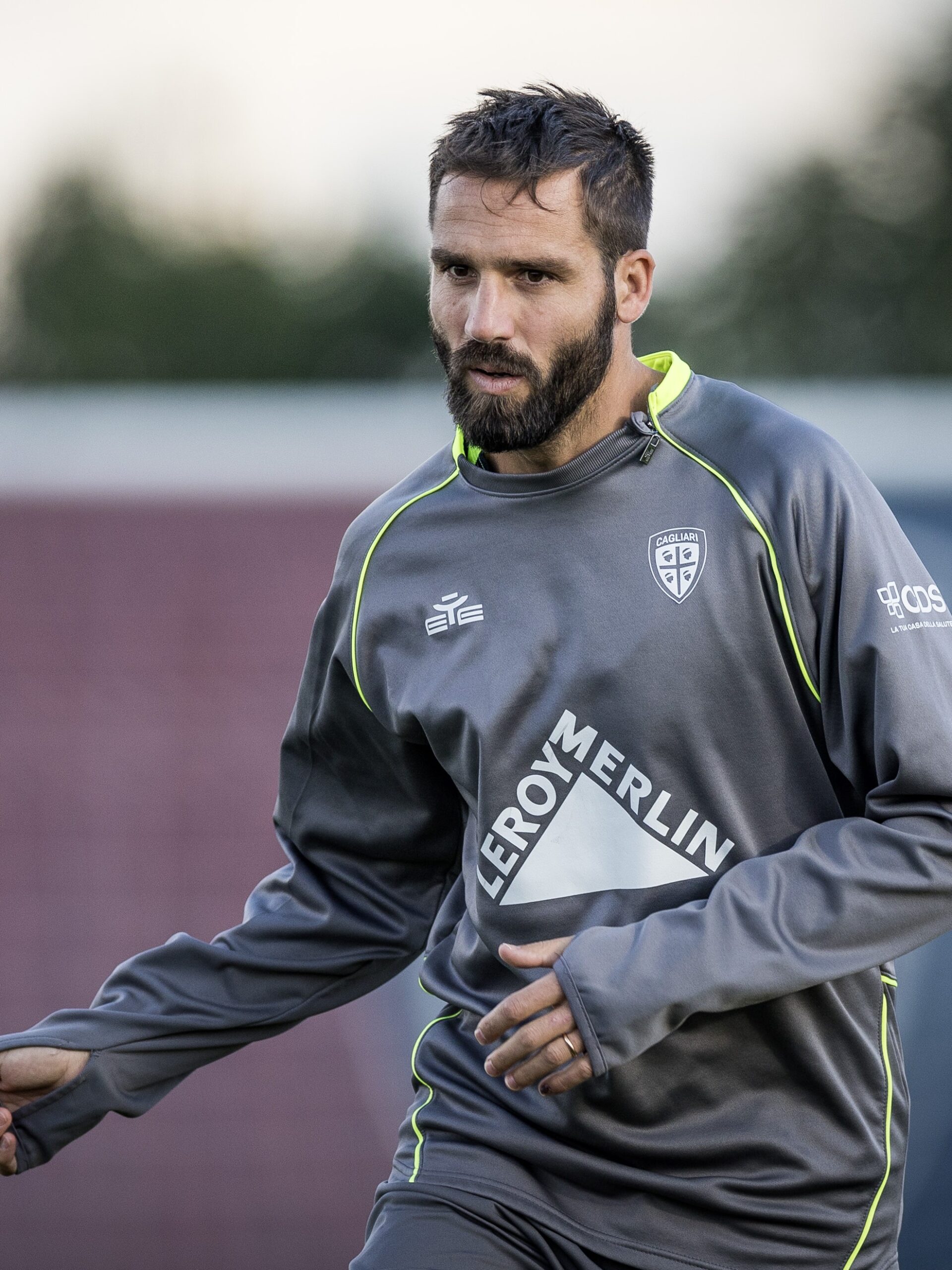 VS__2046-pavo_34-scaled