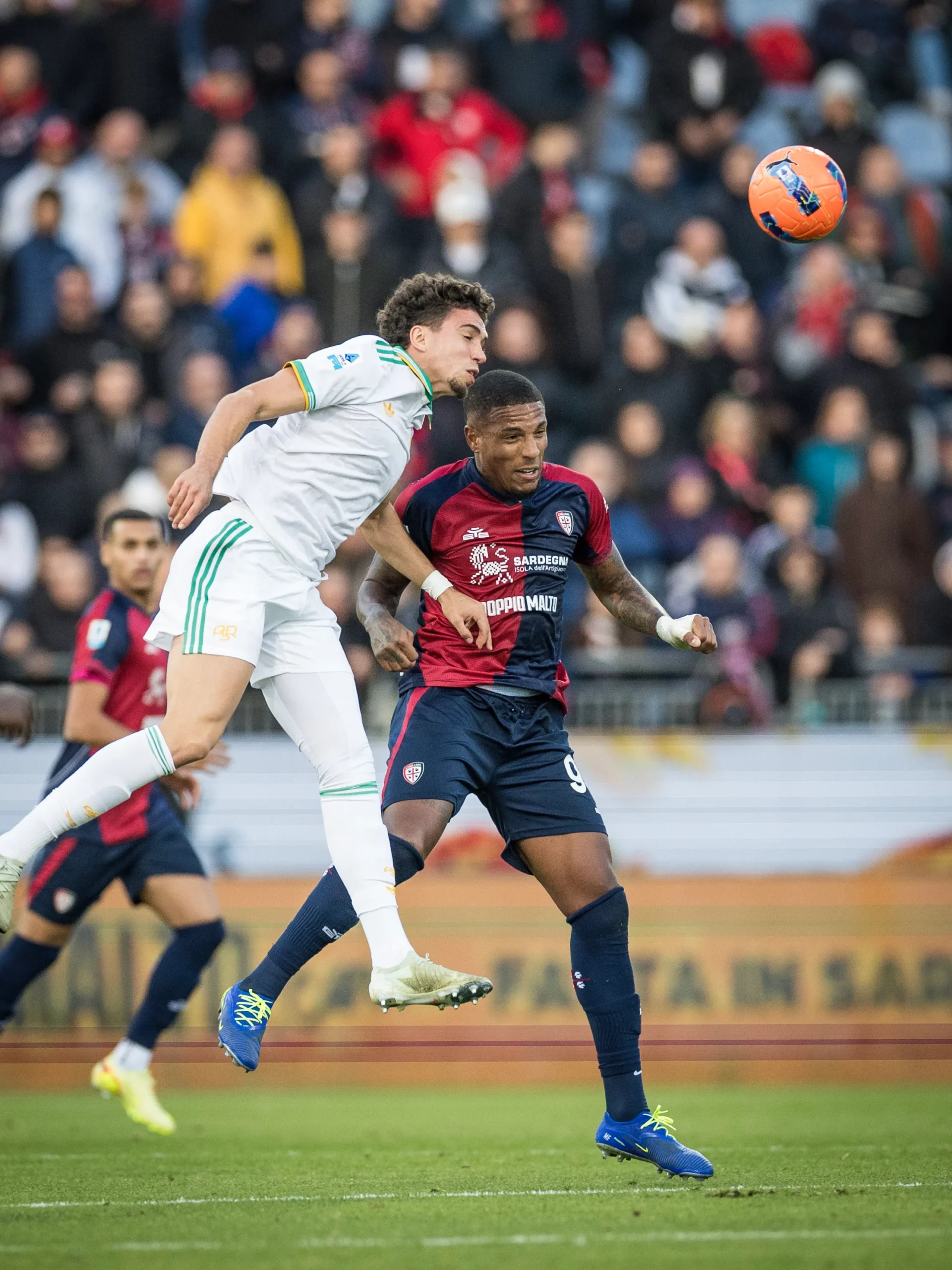 VS__7546-folo-scaled