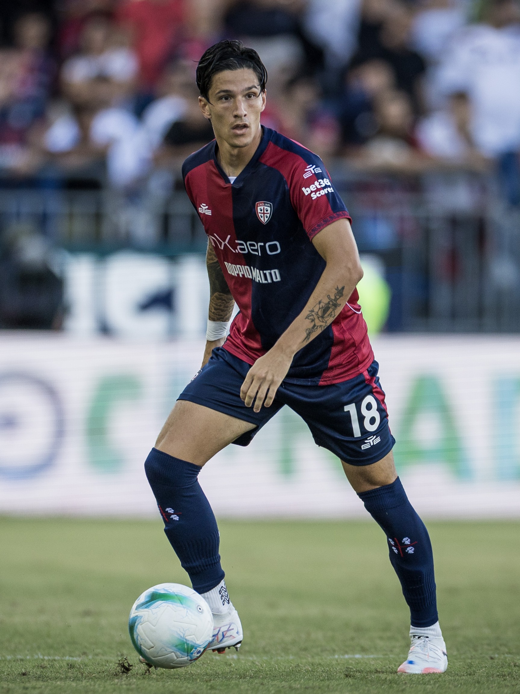 VS__2295-di-pardo_34