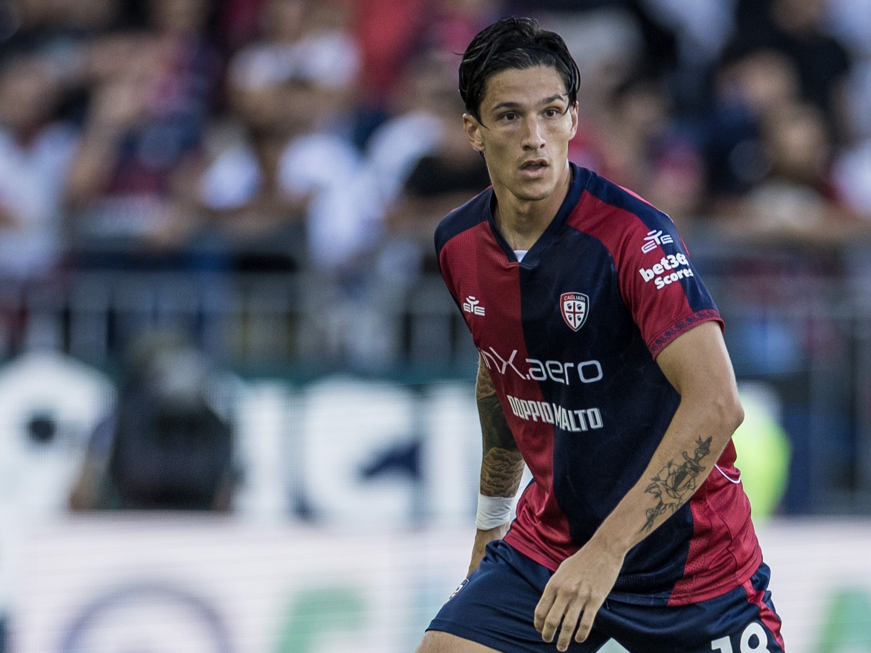 VS__2295-di-pardo_43