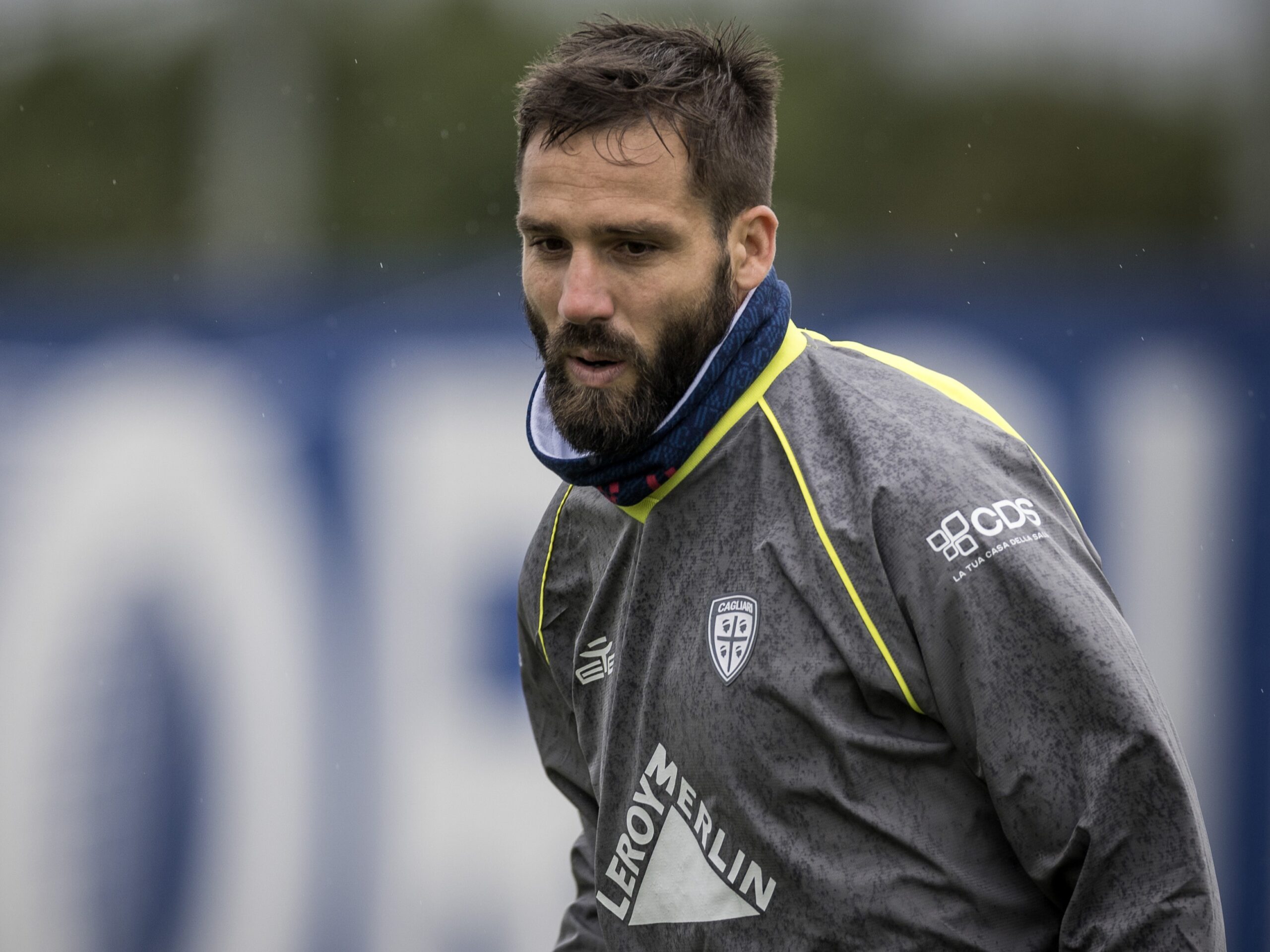 VS__8347-pavo-scaled