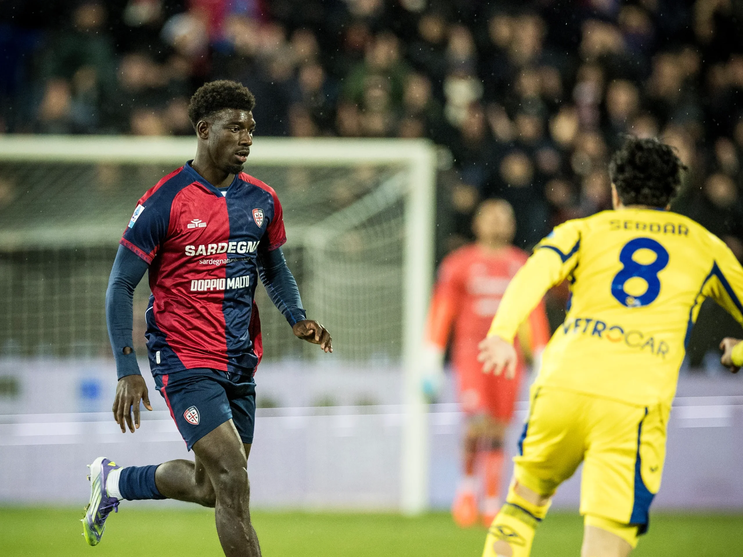 VS__2473-adopo-vs-scaled