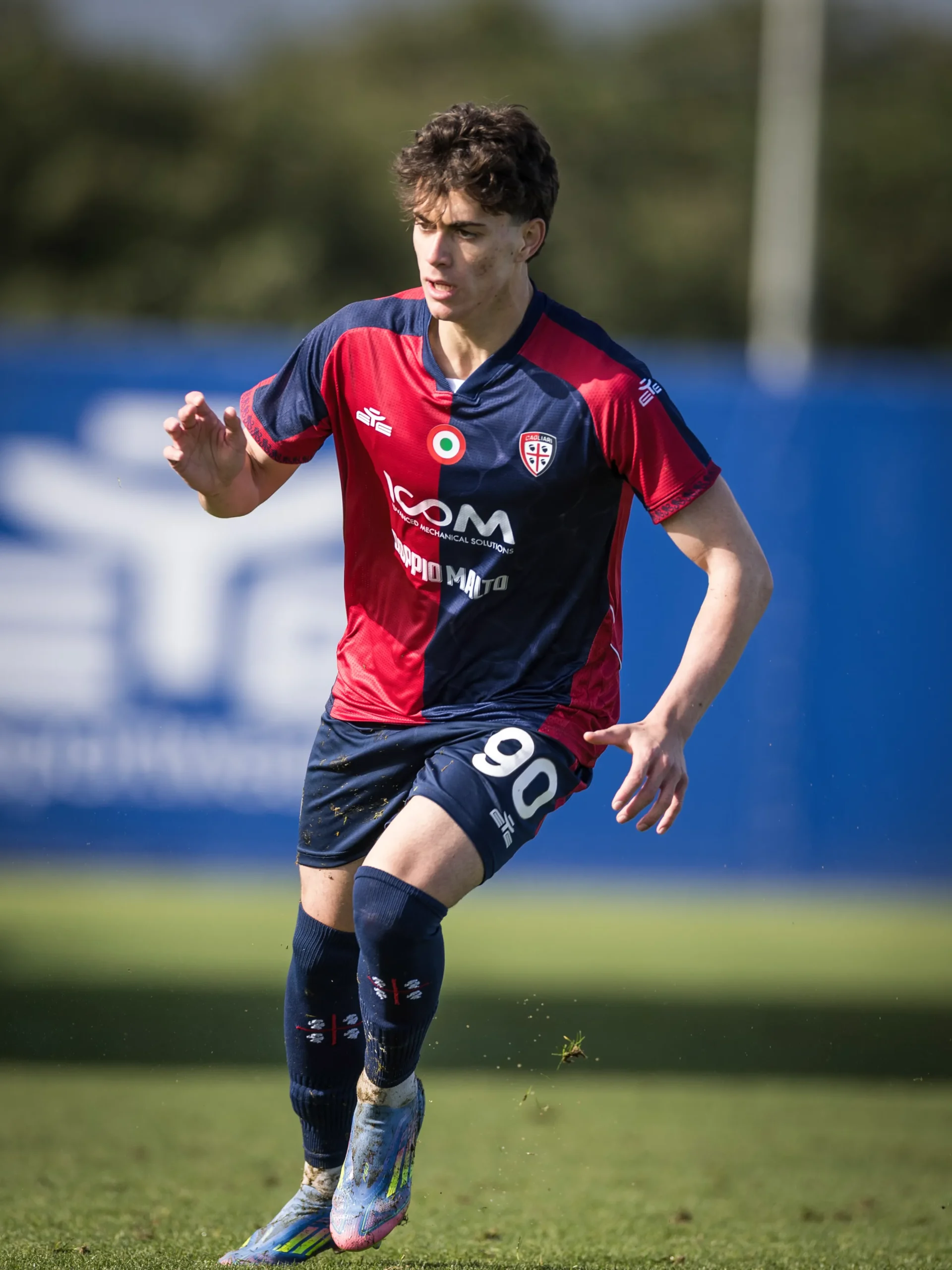 VS__4930-sugamele-scaled