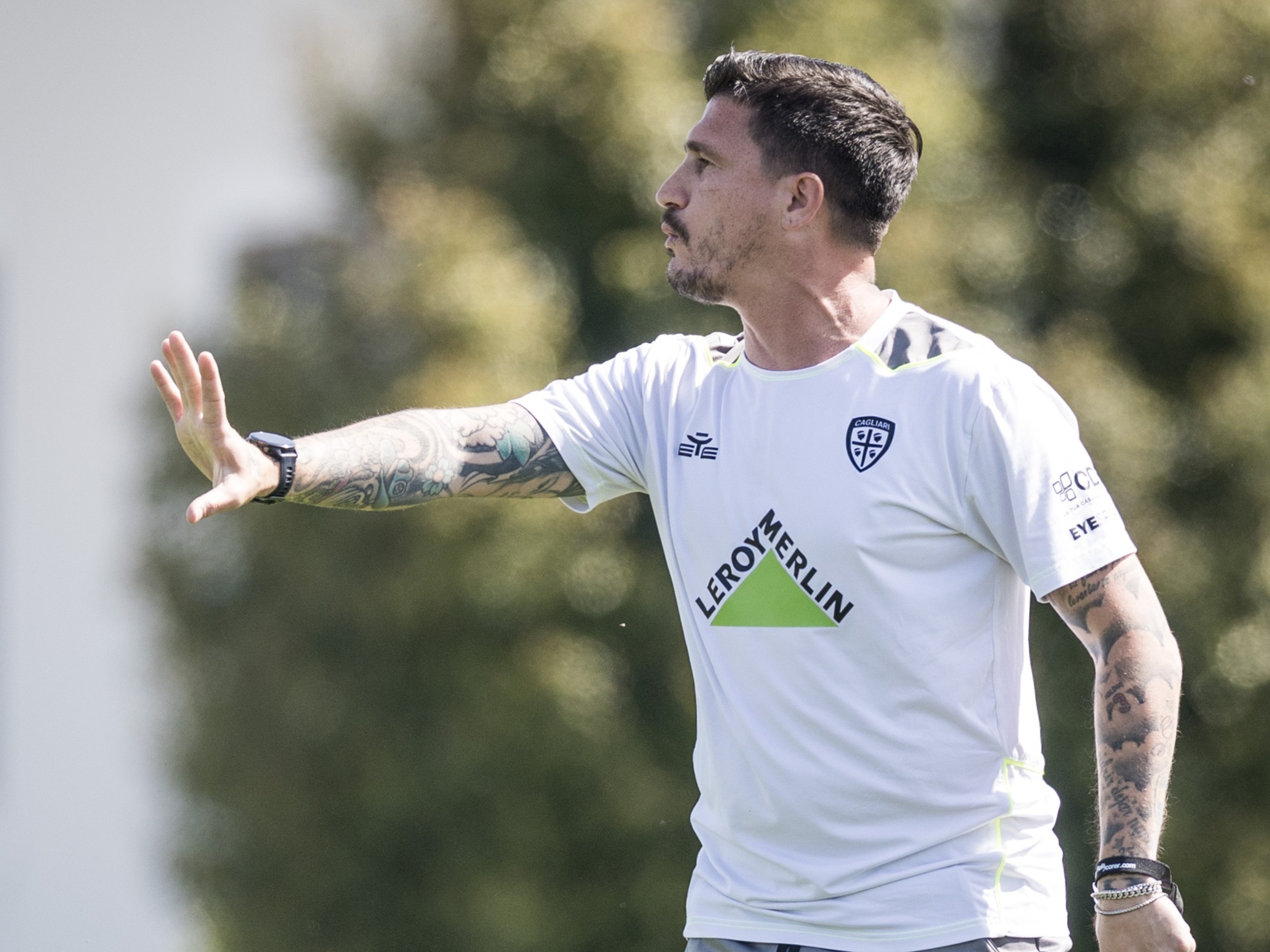 VSR14017-pisacane_43