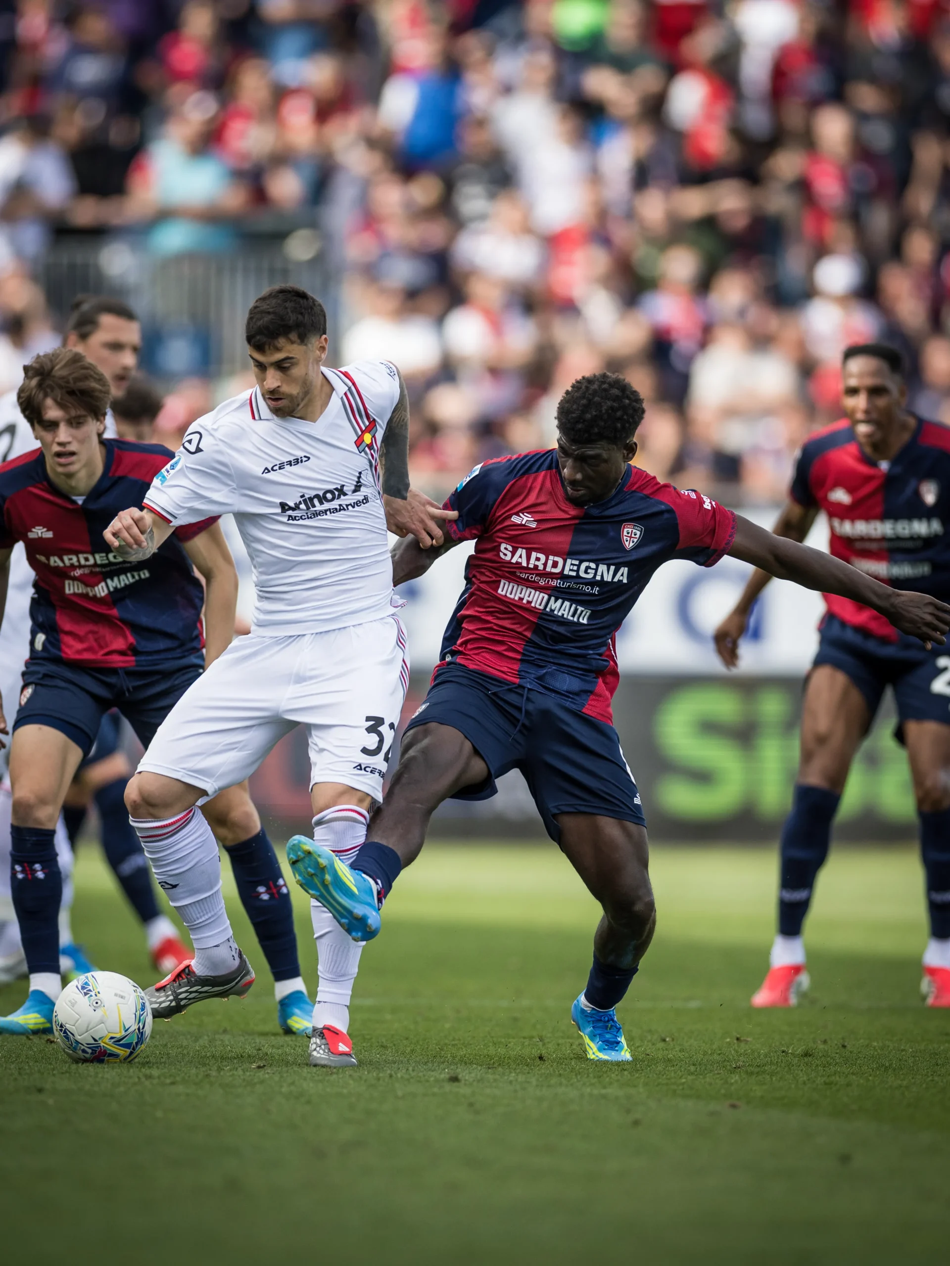 VS__9639-adopo-scaled